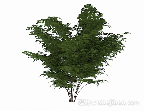 免费绿色椭圆形叶子灌木3d模型下载