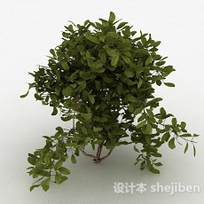 圆形树叶家庭观赏型树木3d模型下载