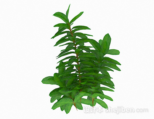 免费细长型叶子植物3d模型下载