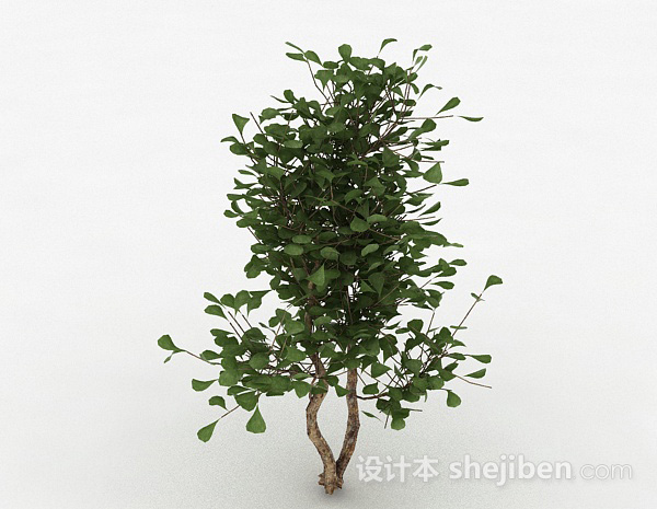 设计本绿色圆形树叶家庭观赏型树3d模型下载