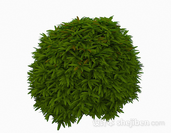 低矮绿色植物3d模型下载