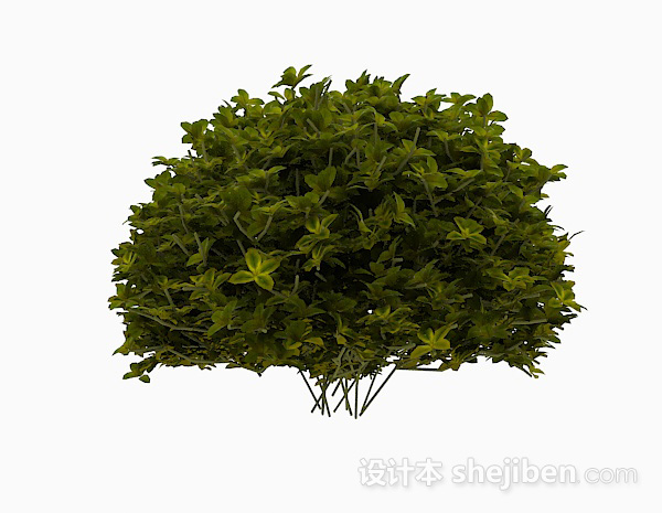 免费嫩绿色椭圆形叶子灌木3d模型下载