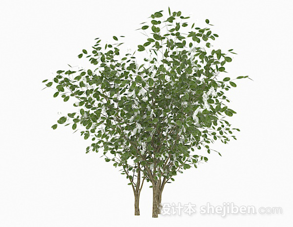 设计本椭圆形树叶灌木丛3d模型下载