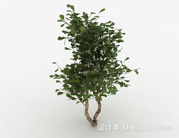 绿色圆形树叶家庭观赏型树3d模型下载