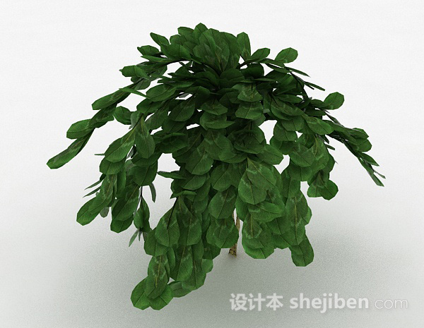 现代风格倒卵形树叶观赏植物3d模型下载