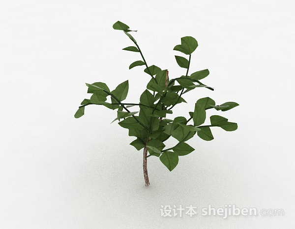 免费椭圆形树叶灌木3d模型下载