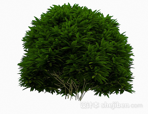 设计本低矮绿色植物3d模型下载