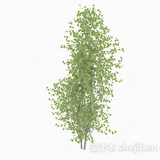 椭圆形小树叶树木3d模型下载