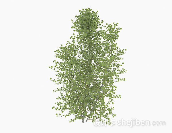 椭圆形树叶树木3d模型下载