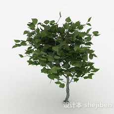 绿色椭圆形树叶观赏植物3d模型下载