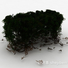 墨绿色景观植物3d模型下载
