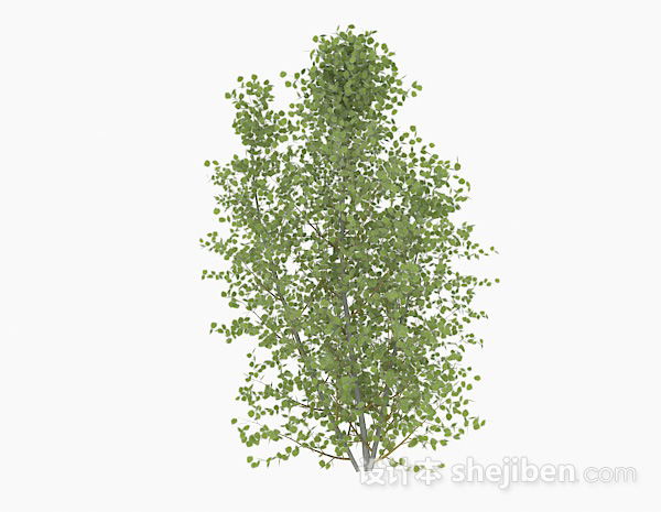 免费椭圆形树叶树木3d模型下载