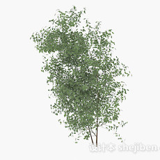 低矮绿色树枝3d模型下载