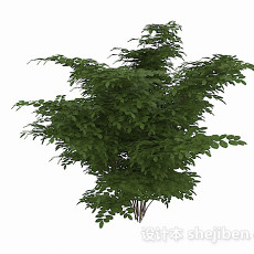 绿色椭圆形叶子灌木3d模型下载