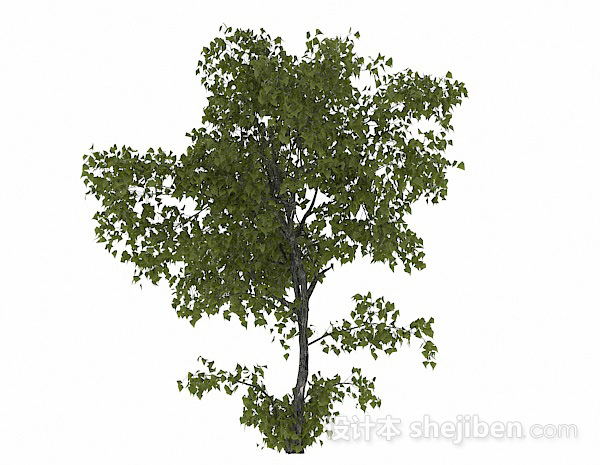 设计本椭圆形树叶树木3d模型下载