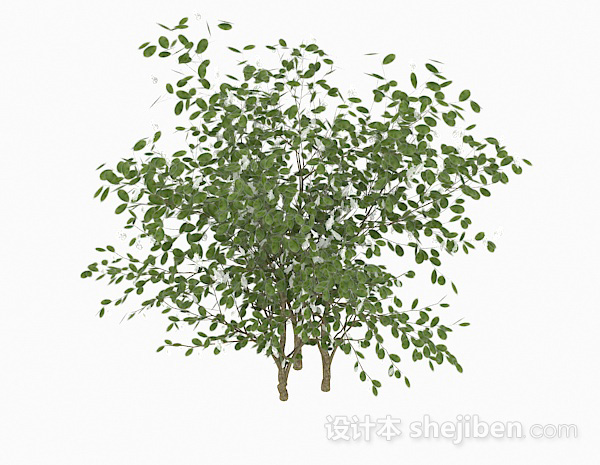 椭圆形树叶灌木丛3d模型下载