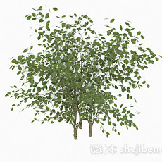 椭圆形树叶灌木丛3d模型下载
