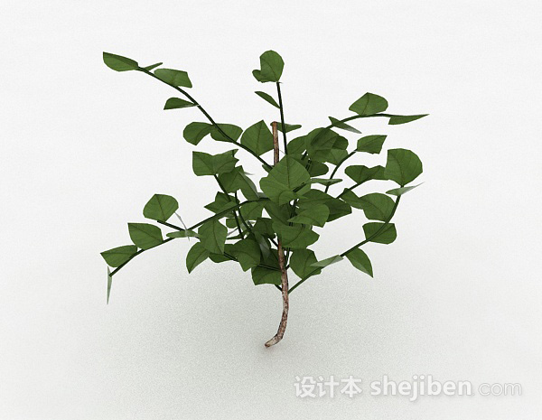 设计本椭圆形树叶灌木3d模型下载