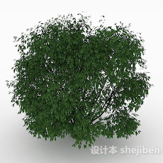绿色小叶子观景树3d模型下载