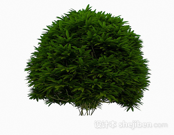 现代风格低矮绿色植物3d模型下载