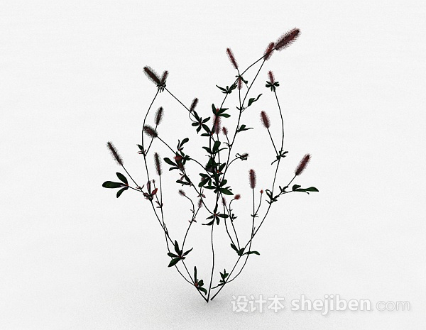红色马尾草植物3d模型下载