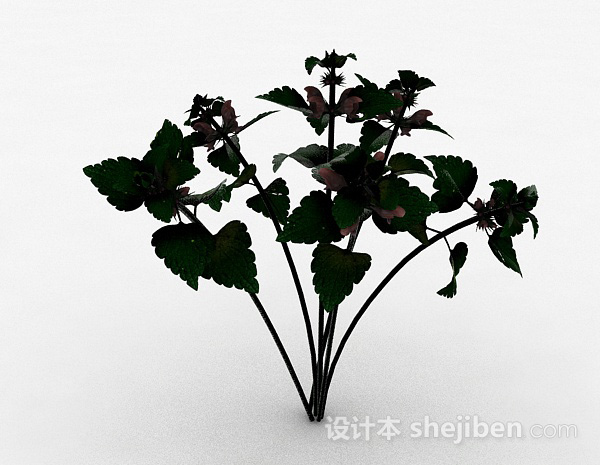 设计本绿色草本植物3d模型下载