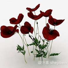 室内装饰红色花卉植物3d模型下载