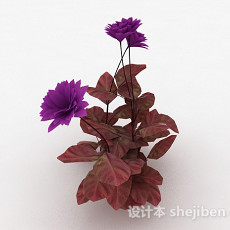 紫色花3d模型下载