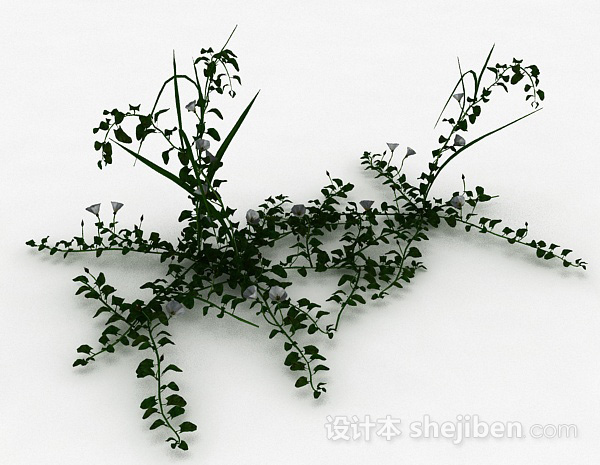 喇叭花植物模型