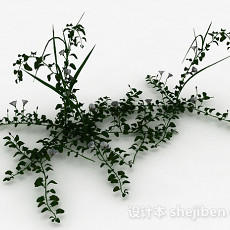 喇叭花植物3d模型下载