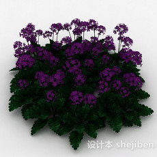 园林紫色花朵观赏花卉3d模型下载