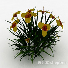 黄色花朵观赏花卉3d模型下载