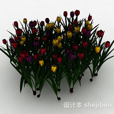 多色花朵观赏植物3d模型下载