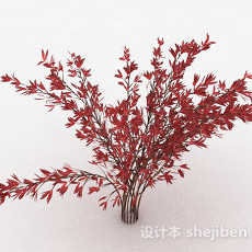 红色树叶观赏型植物3d模型下载