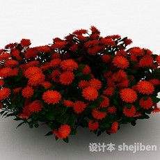 红色雏菊观赏花卉3d模型下载