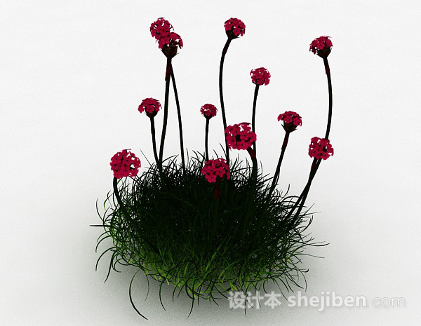 红色海石竹花卉3d模型下载