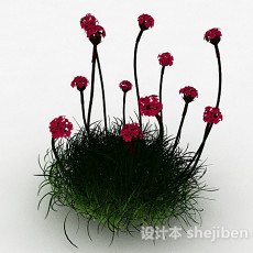 红色海石竹花卉3d模型下载