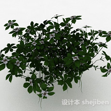 白色小花草丛花卉植物3d模型下载