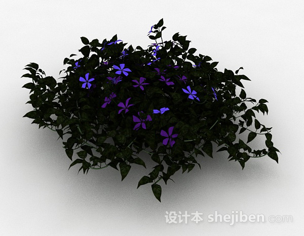 设计本紫色铁线莲观赏花卉3d模型下载
