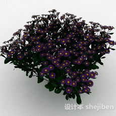 紫色花朵植物花卉3d模型下载