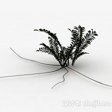蕨类植物3d模型下载