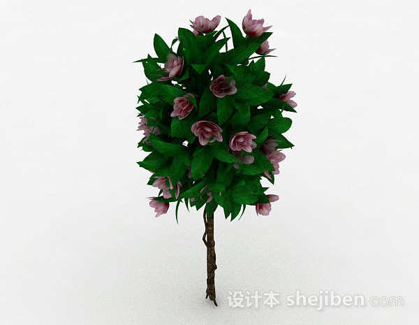室外植物花卉模型