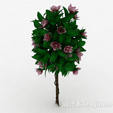 室外植物花卉3d模型下载