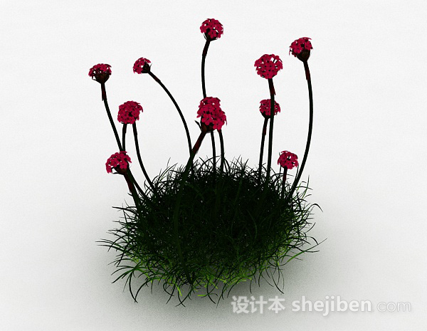 其它红色海石竹花卉3d模型下载
