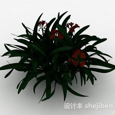 红色小花观赏植物3d模型下载