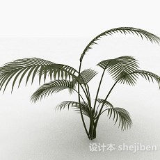 高大蕨科类植物3d模型下载