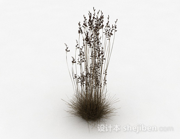 小草植物3d模型下载
