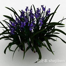 园林装饰型紫色花卉3d模型下载