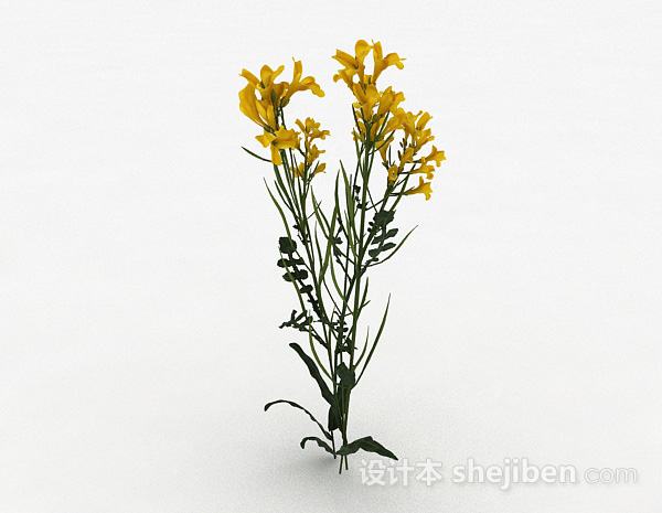 黄色花朵植物3d模型下载