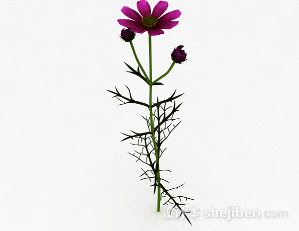 设计本荆棘类紫色花朵3d模型下载